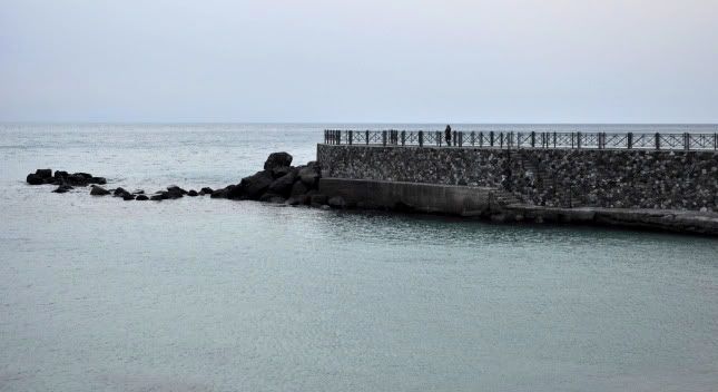 Immagine ridimensionata: clicca sull'immagine per vederla con le dimensioni originali.