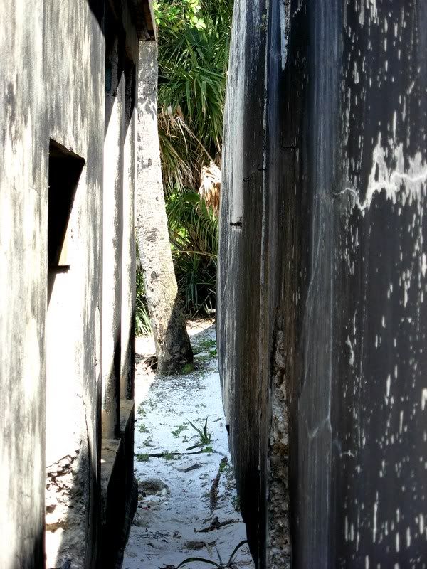 alleyway.jpg