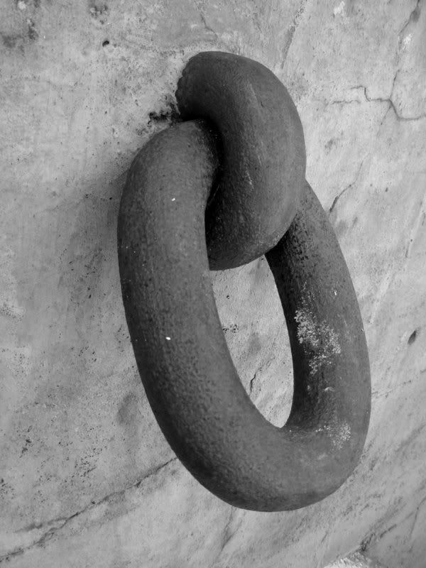ring01.jpg