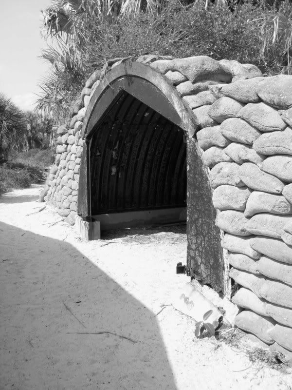shelter03.jpg