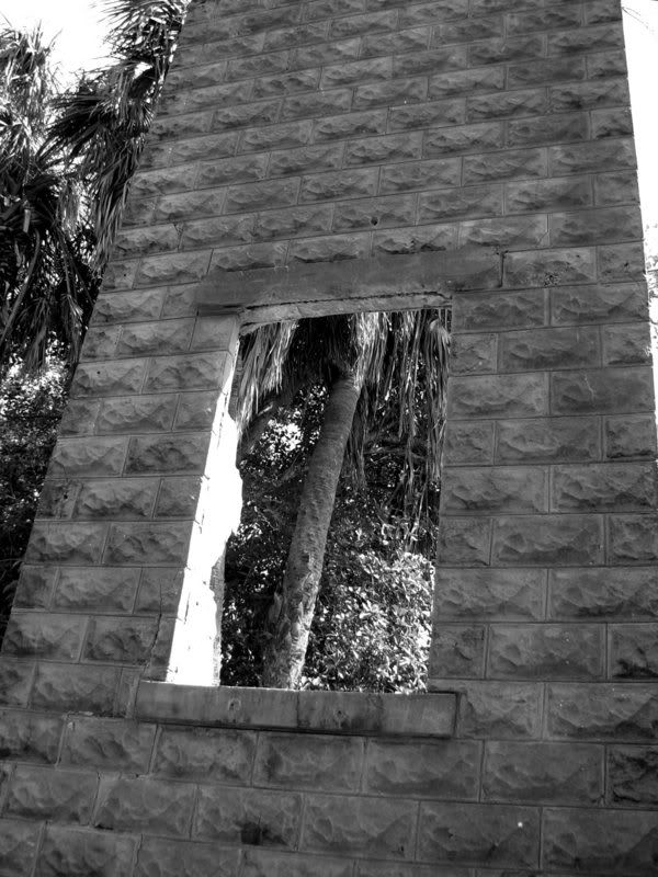 window01.jpg