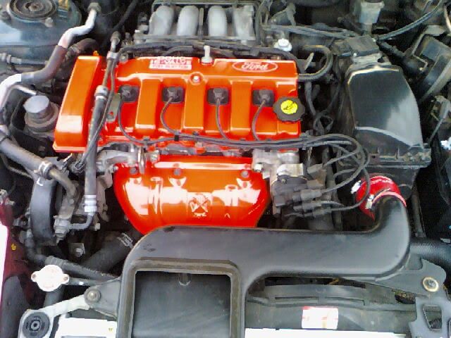 Tiburon engine dress up