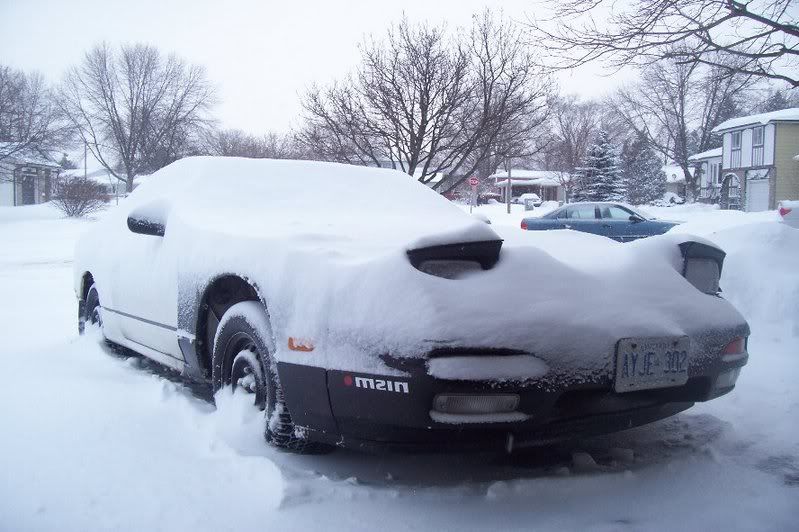 http://i63.photobucket.com/albums/h144/l2efused/little-bandit/snowcovered240.jpg