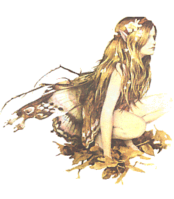 FAIRY10.gif