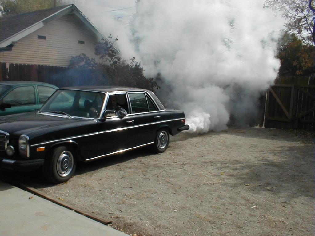  photo 280Smokey3_zps97e11cb9.jpg