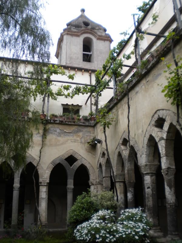 DSCN2455.jpg
