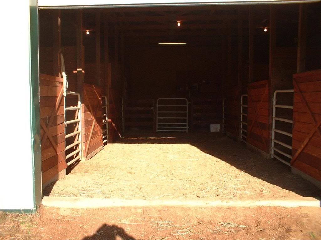 Minmax Guide Miniature Horse Barn Plans