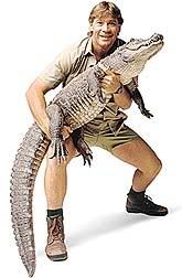 Steve Irwin Pictures, Images and Photos