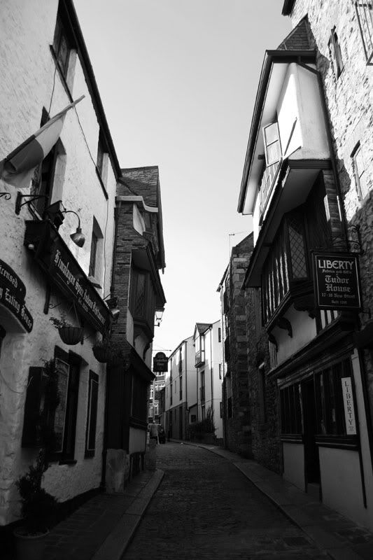 IMAGE: http://i63.photobucket.com/albums/h147/Col_M/Hoe%20walkabout/IMG_3529small.jpg