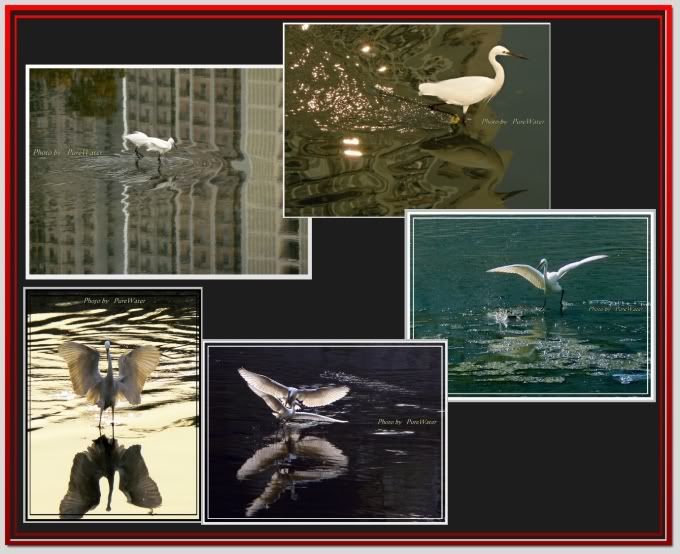 Photobucket - Video and Image Hosting