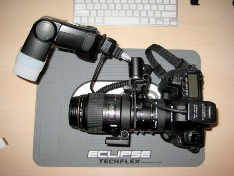 IMAGE: http://i63.photobucket.com/albums/h147/supastudio/IMG_4733.jpg