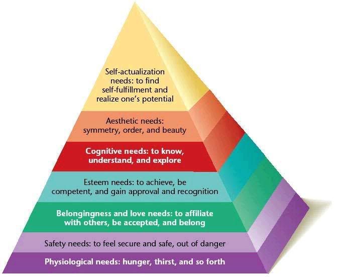 Physiological Needs