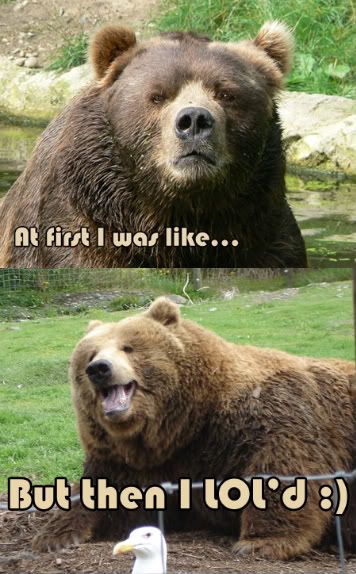 LOLBear.jpg?t=1241943441