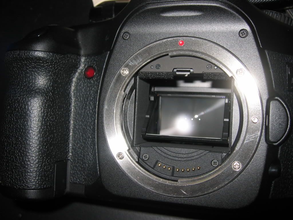 IMAGE: http://i63.photobucket.com/albums/h148/mastertech01/IMG_0061.jpg