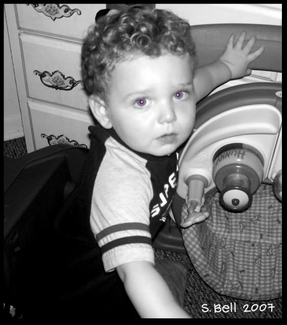 Photo Sharing and Video Hosting at Photobucket