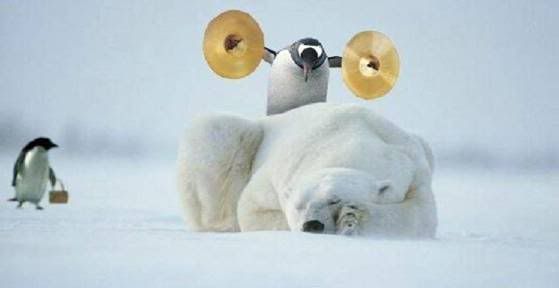 Photobucket - Video and Image Hosting