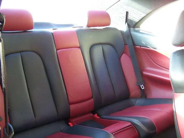 backseat-1.jpg