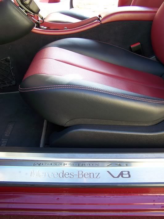 v8.jpg