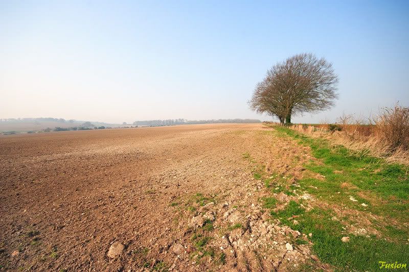 IMAGE: http://i63.photobucket.com/albums/h150/Fusion_2006/AVEBURY/AVE1.jpg