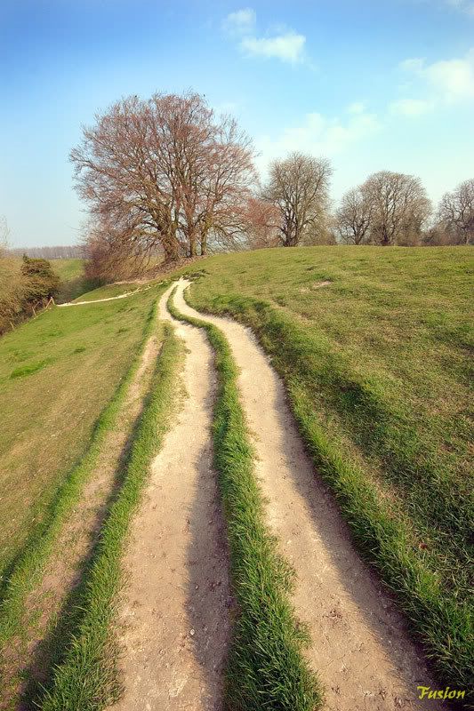 IMAGE: http://i63.photobucket.com/albums/h150/Fusion_2006/AVEBURY/AVE4.jpg