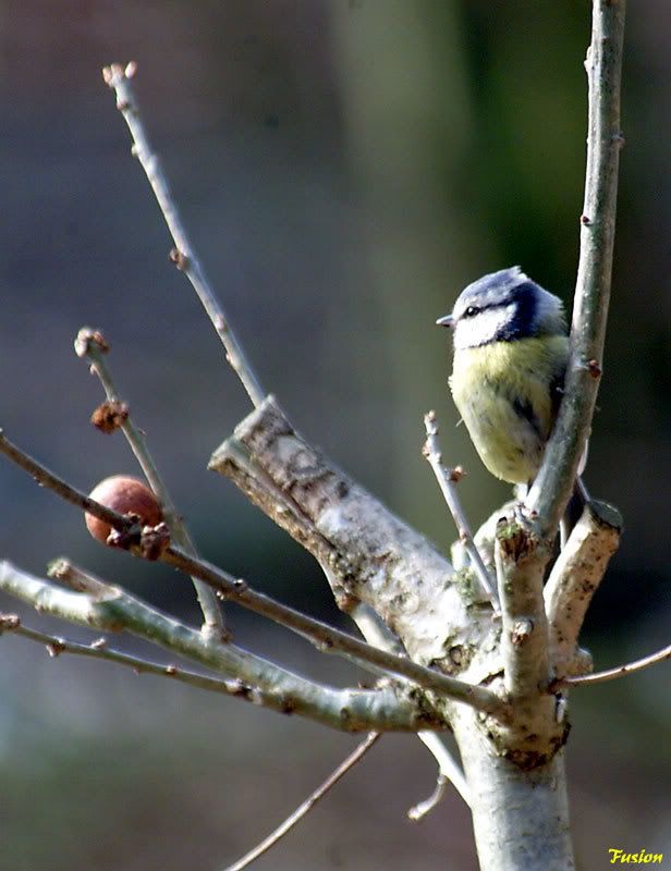 IMAGE: http://i63.photobucket.com/albums/h150/Fusion_2006/Moore%20Reserve/688K8592.jpg