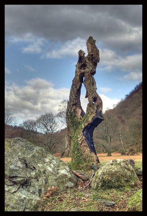 IMAGE: http://i63.photobucket.com/albums/h150/Fusion_2006/Wales/craf4.jpg