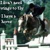 wings r my horse Pictures, Images and Photos