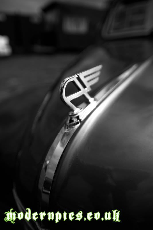 IMAGE: http://i63.photobucket.com/albums/h152/zilly_photos/RQ5P1842.jpg