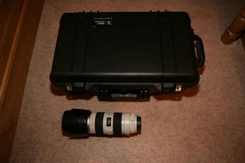 IMAGE: http://i63.photobucket.com/albums/h152/zilly_photos/RQ5P4730.jpg