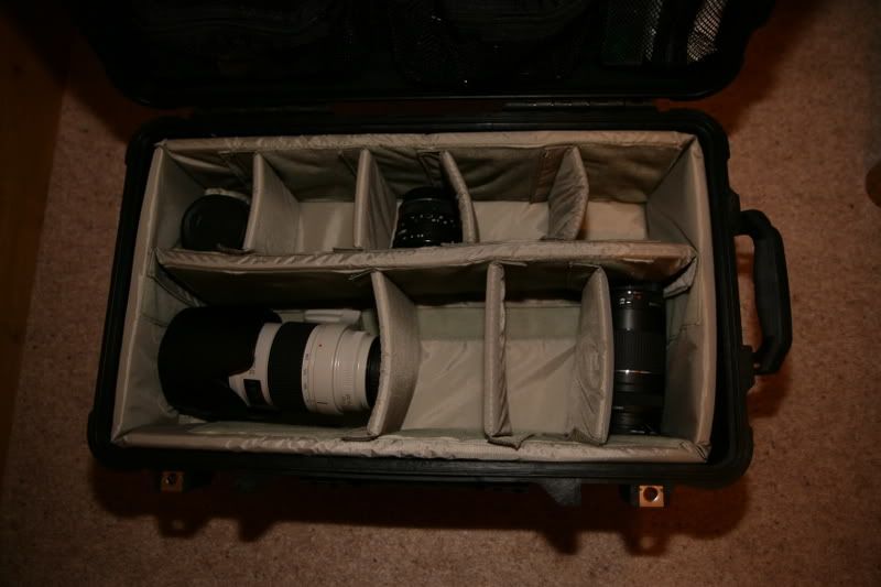 IMAGE: http://i63.photobucket.com/albums/h152/zilly_photos/RQ5P4731.jpg