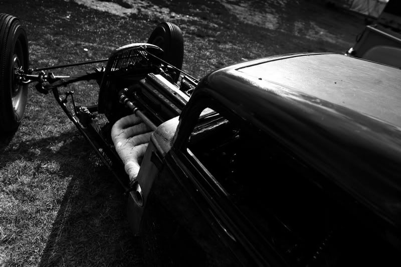 IMAGE: http://i63.photobucket.com/albums/h152/zilly_photos/bantom.jpg