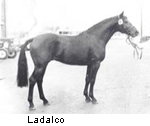 LADALCO1977Hol.png