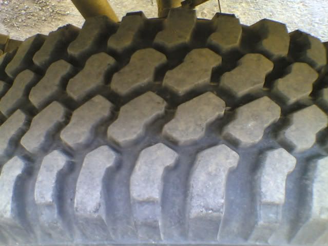 wildcat mud tires