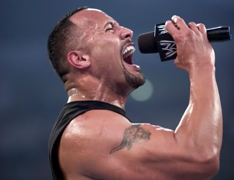 TheRock1.jpg?t=1212881475