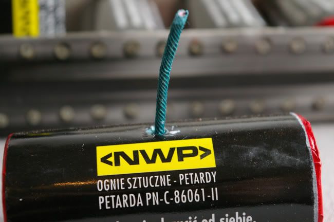IMGP2979.jpg