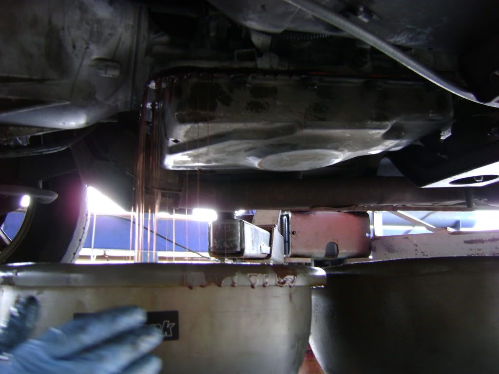 DSC00422.jpg