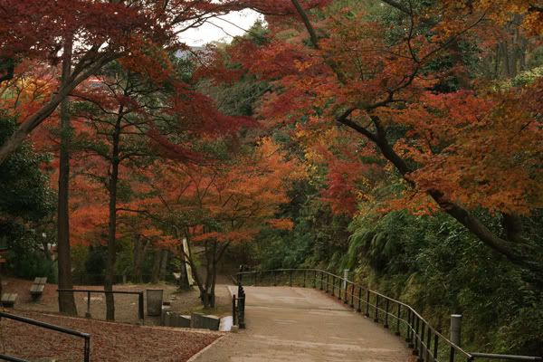 part of Kiyomizu dera garden