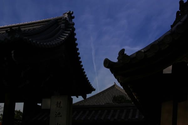 Roofs of a temple