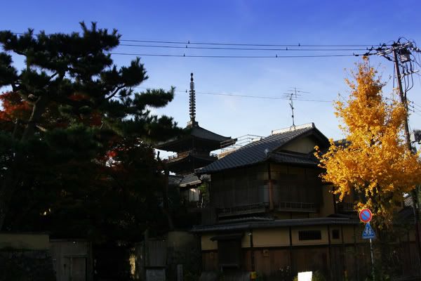 Another morning view of Yasaka Pagoda