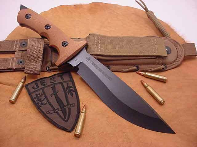 custom Combat knife that