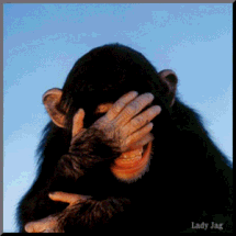 laughing monkey photo: Laughing chimplaughing.gif