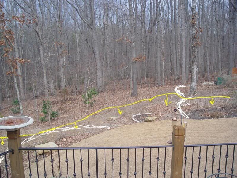 Wooded Backyard Gardening Ideas Photograph | Natives/ideas f