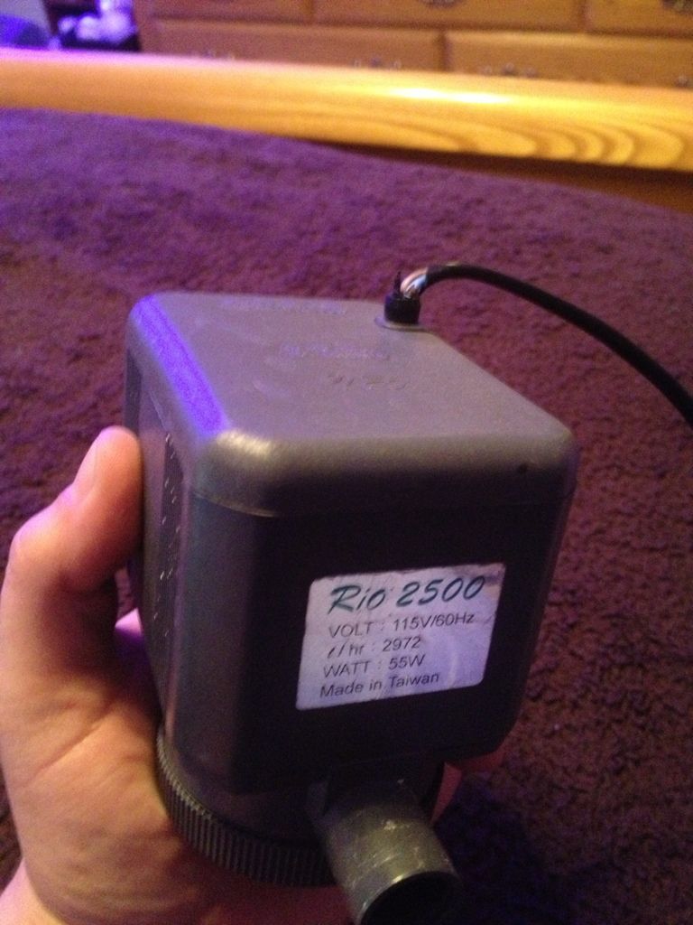 A4BD2FAA-785C-4F7C-BDEE-76732EB6DD46-3678-000001F5D61D2826.jpg