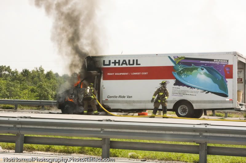 IMAGE: http://i63.photobucket.com/albums/h160/turbot-bird/Carnage/Carnage-1-2.jpg