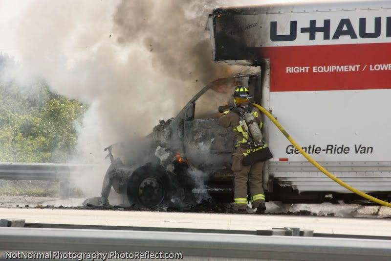 IMAGE: http://i63.photobucket.com/albums/h160/turbot-bird/Carnage/Carnage-2-2.jpg