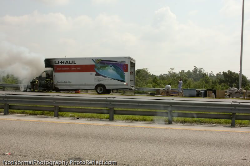 IMAGE: http://i63.photobucket.com/albums/h160/turbot-bird/Carnage/Carnage-4-2.jpg