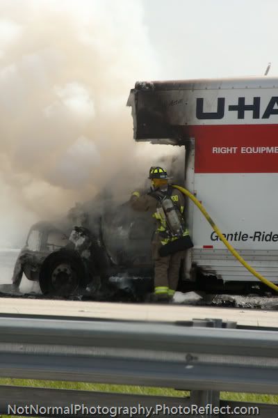 IMAGE: http://i63.photobucket.com/albums/h160/turbot-bird/Carnage/Carnage-4.jpg