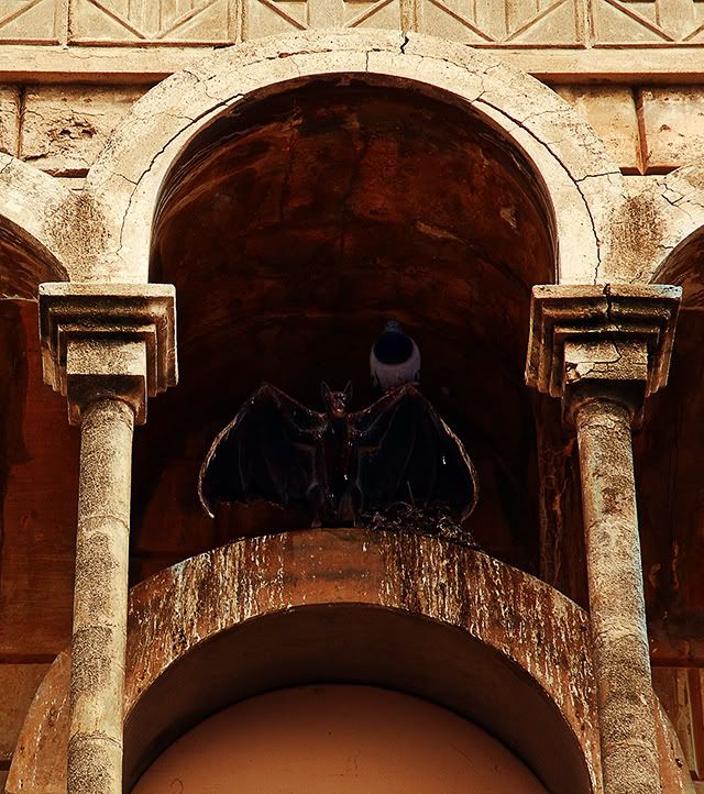 The Bat in Colonia Guell At The Secretary's House