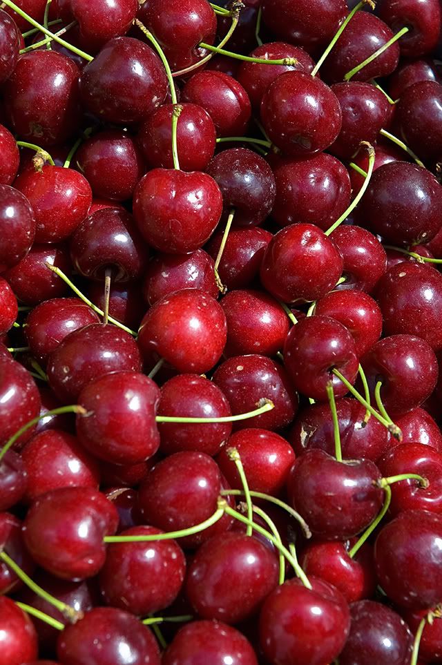 Cherry Festival (Festa de la Cirera), Torrelles de Llobregat, Barcelona [enlarge]