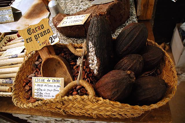 Cocoa Fruit and Grains Detail in Chocolate Trade Show, Barcelona [enlarge]
